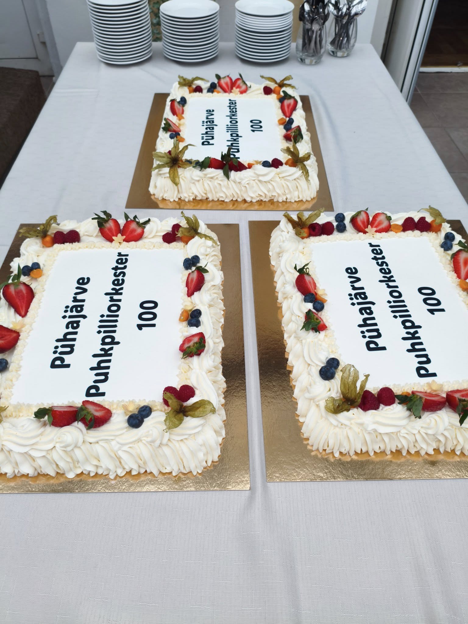 494070219 617587367953235 6351558740825638523 n