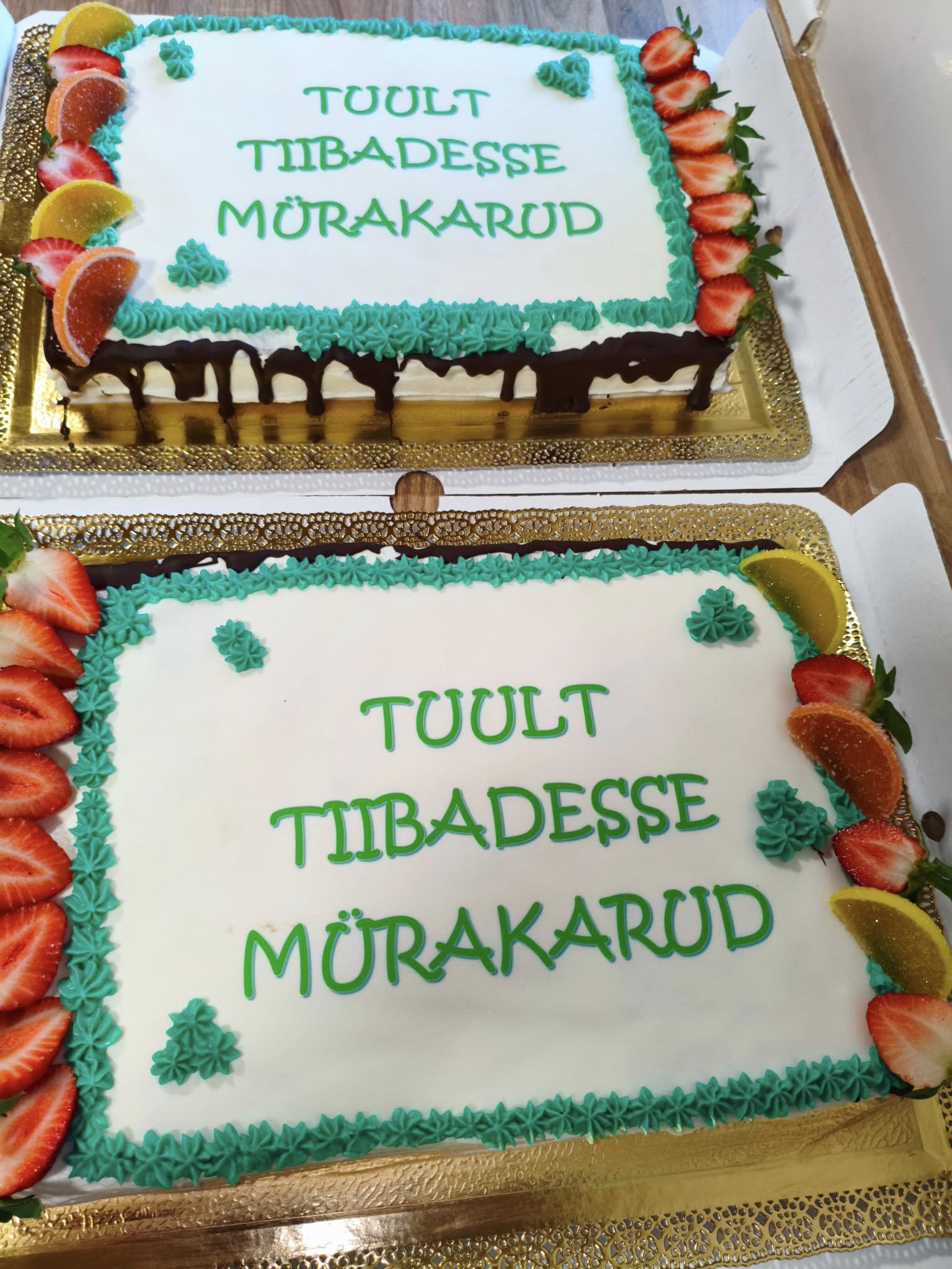 502463351 641486832229955 5551999194944659276 n