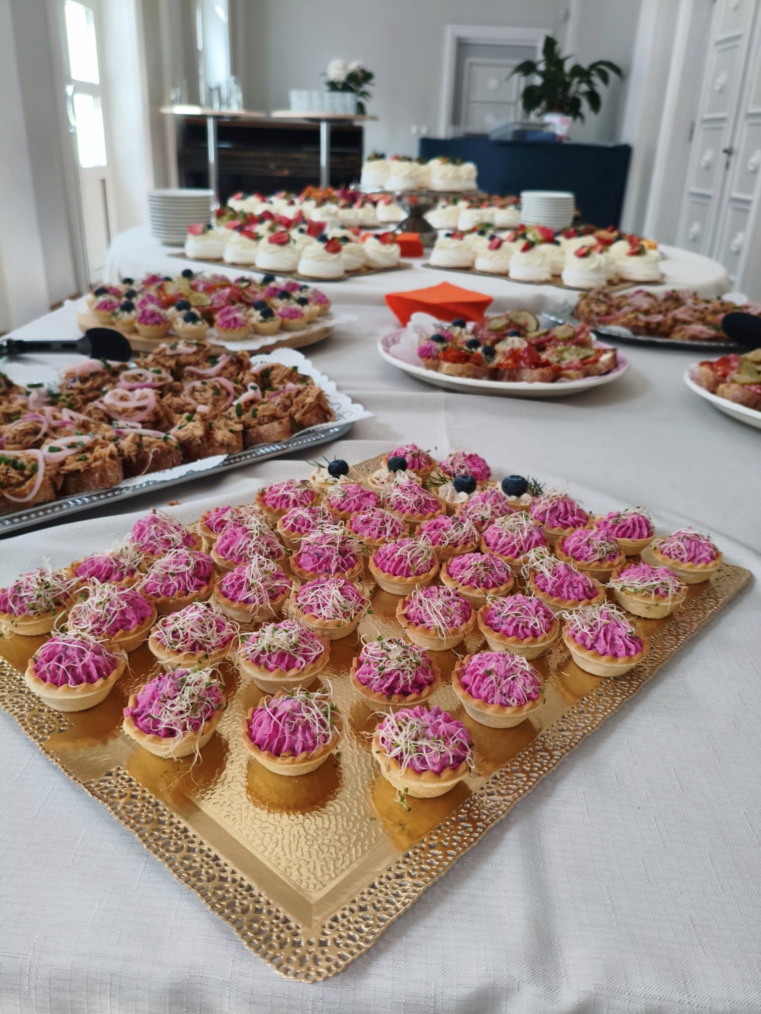 503633046 644259365286035 7514123068648895523 n