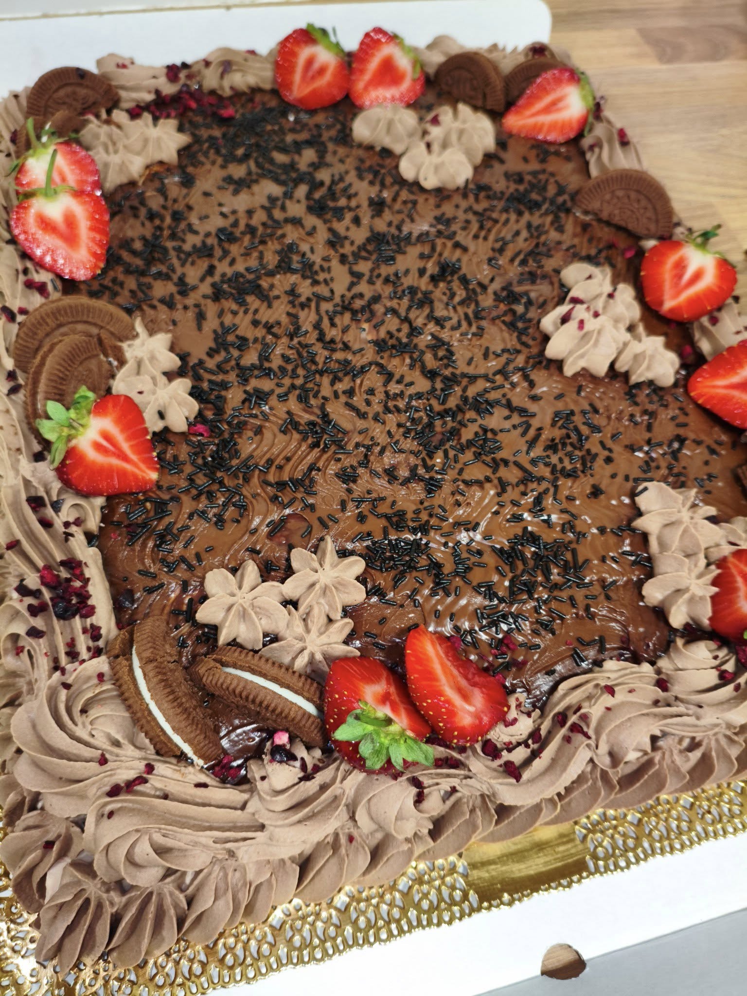 509287826 655276390850999 6193866803118852231 n