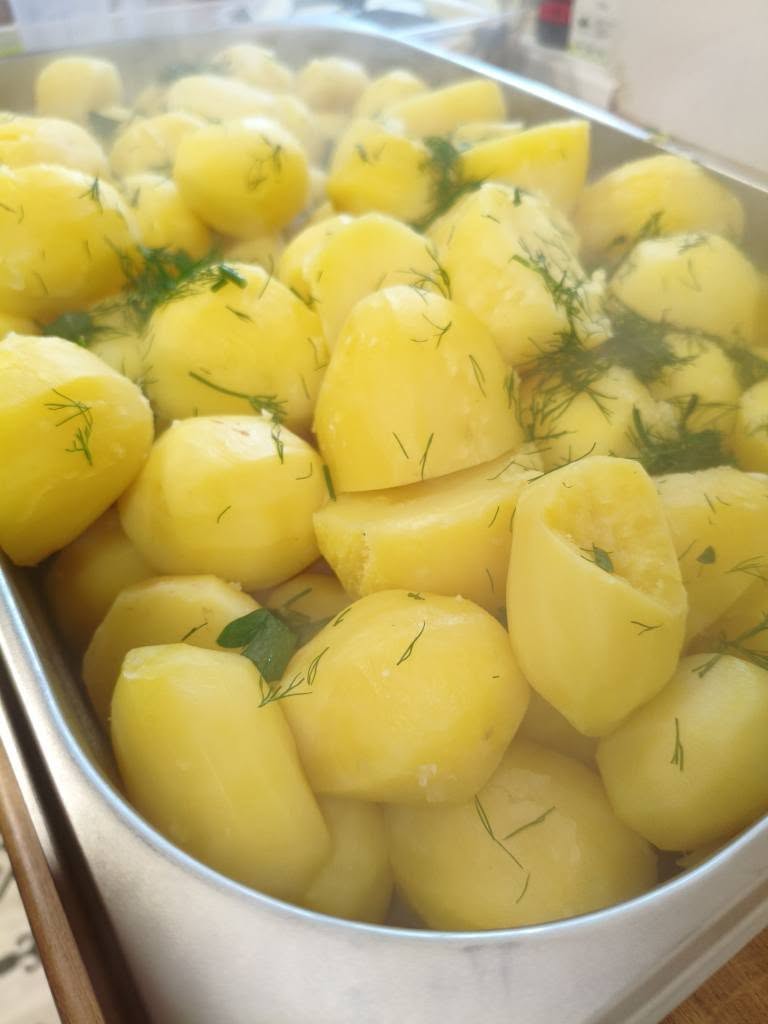 555501356 734914439553860 4599705640444063123 n